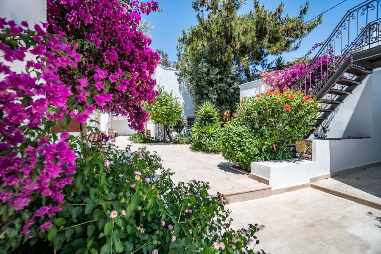 Manzara Boutique Hotel - Adults Only Αλικαρνασσός Εξωτερικό φωτογραφία