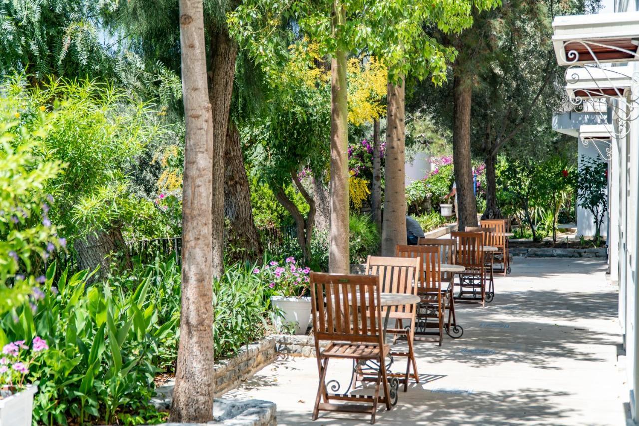 Manzara Boutique Hotel - Adults Only Αλικαρνασσός Εξωτερικό φωτογραφία